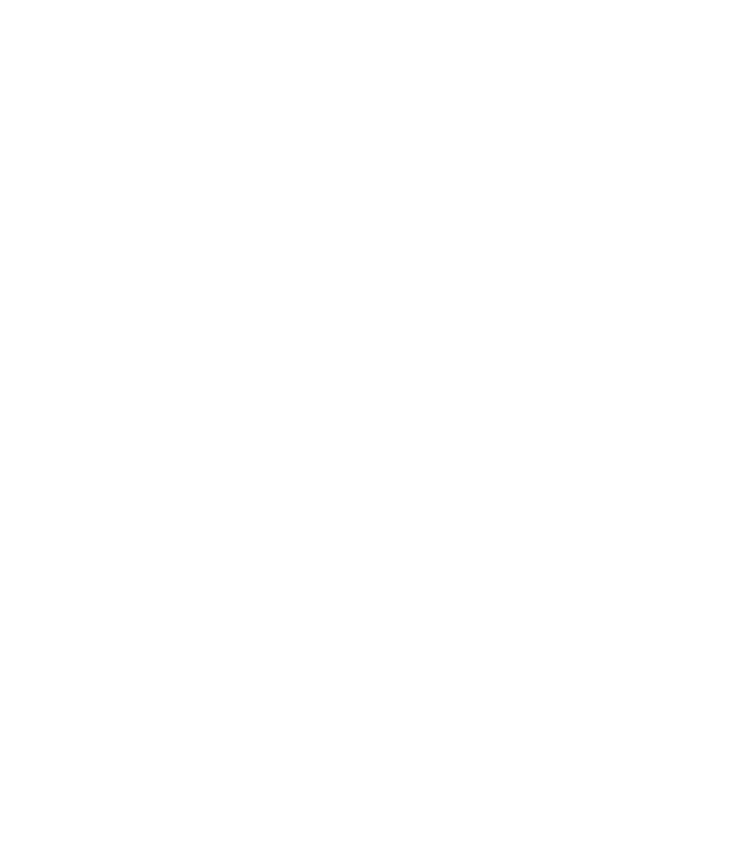 Matt Ross